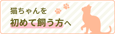 猫を初めて飼う方へ