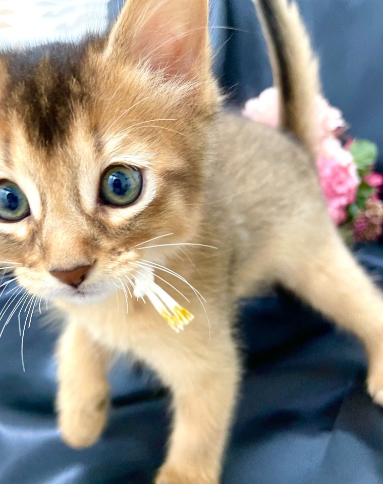 王林♀☆ご成約☆→モア（大阪）