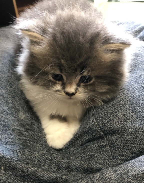 文次郎★ご成約★→クー（京都）