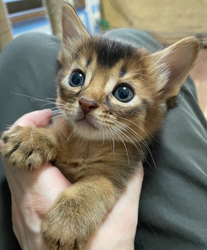 鳴門♂☆ご成約☆→リアン（兵庫）