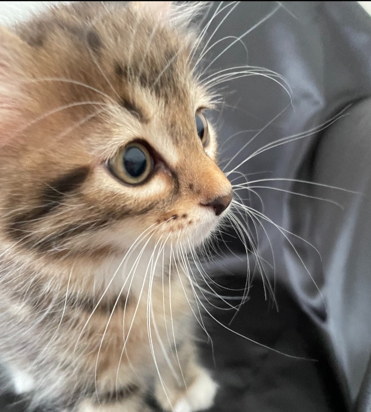 ごぎょう♂🥇ご成約