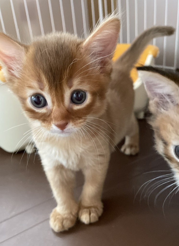 愛称：瀬戸ジャイアンツ