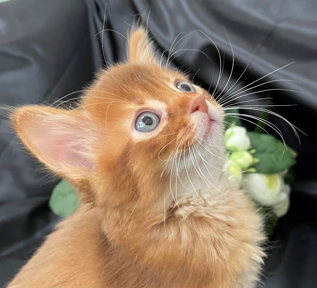 太秋♂★ご成約★