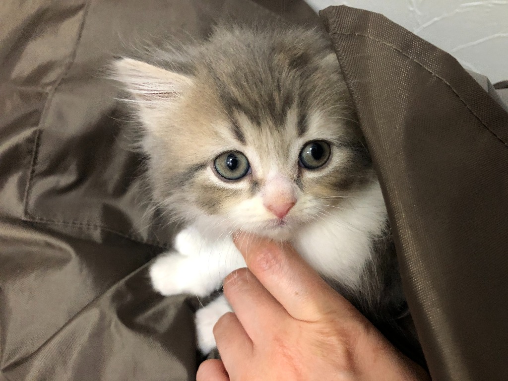 安心のサポート