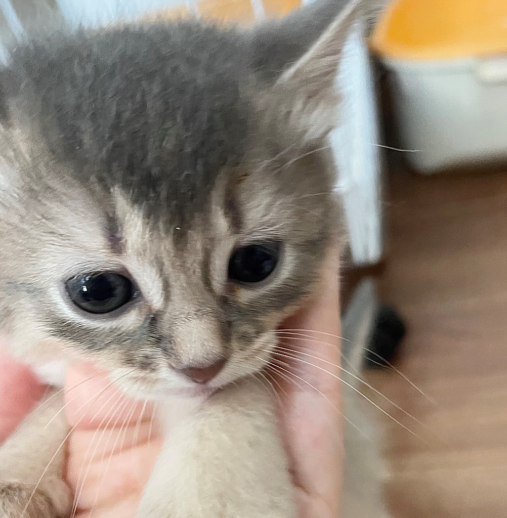 なつっこ🥇ご成約→凛（大阪）