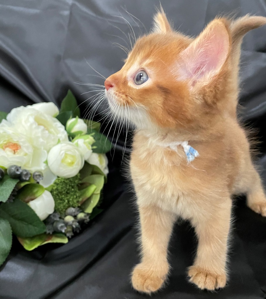 富有♂☆ご成約☆→ポルカ（東京）