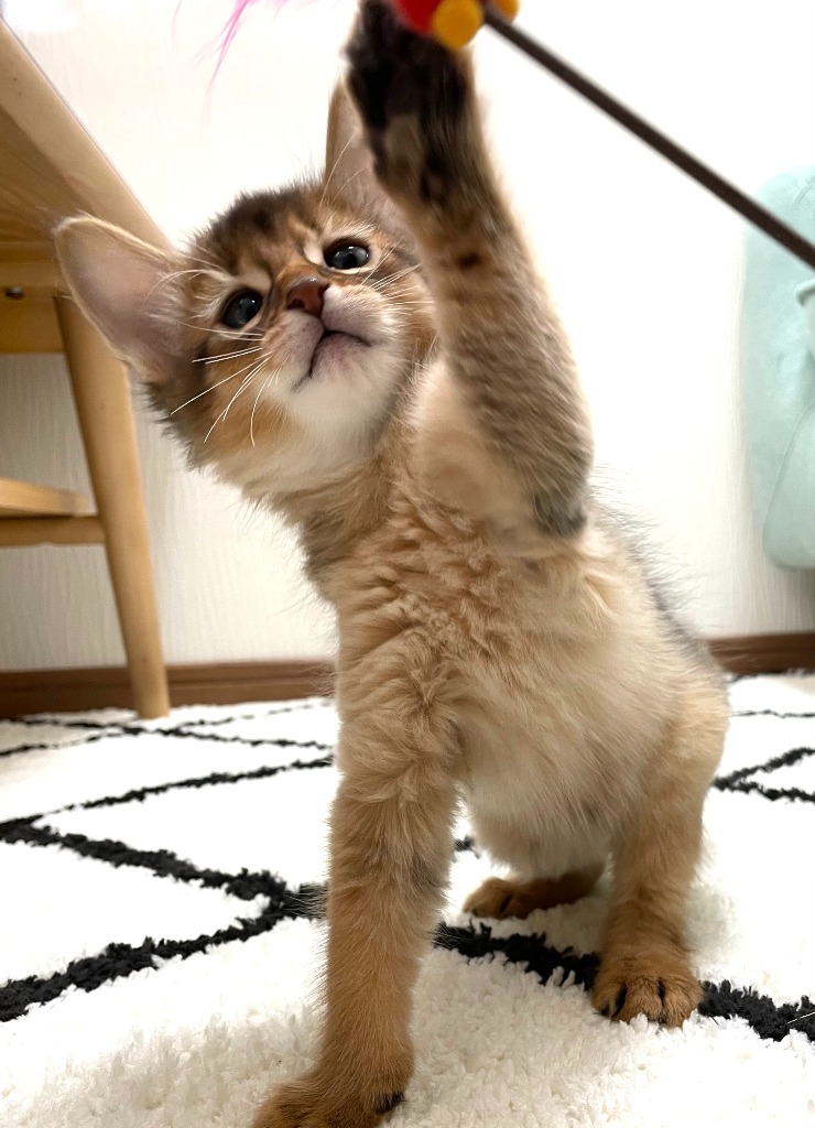 北斗♂🥇ご成約→ネオン（大阪）