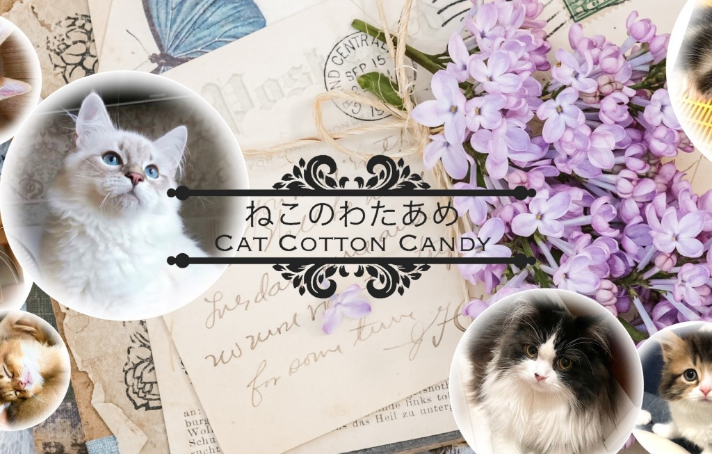 ホームページリニューアル